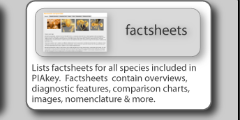 Lists fact sheets for all species included in PIAkey.  Fact sheets  contain overviews, diagnostic features, comparison charts, images, nomenclature & more.