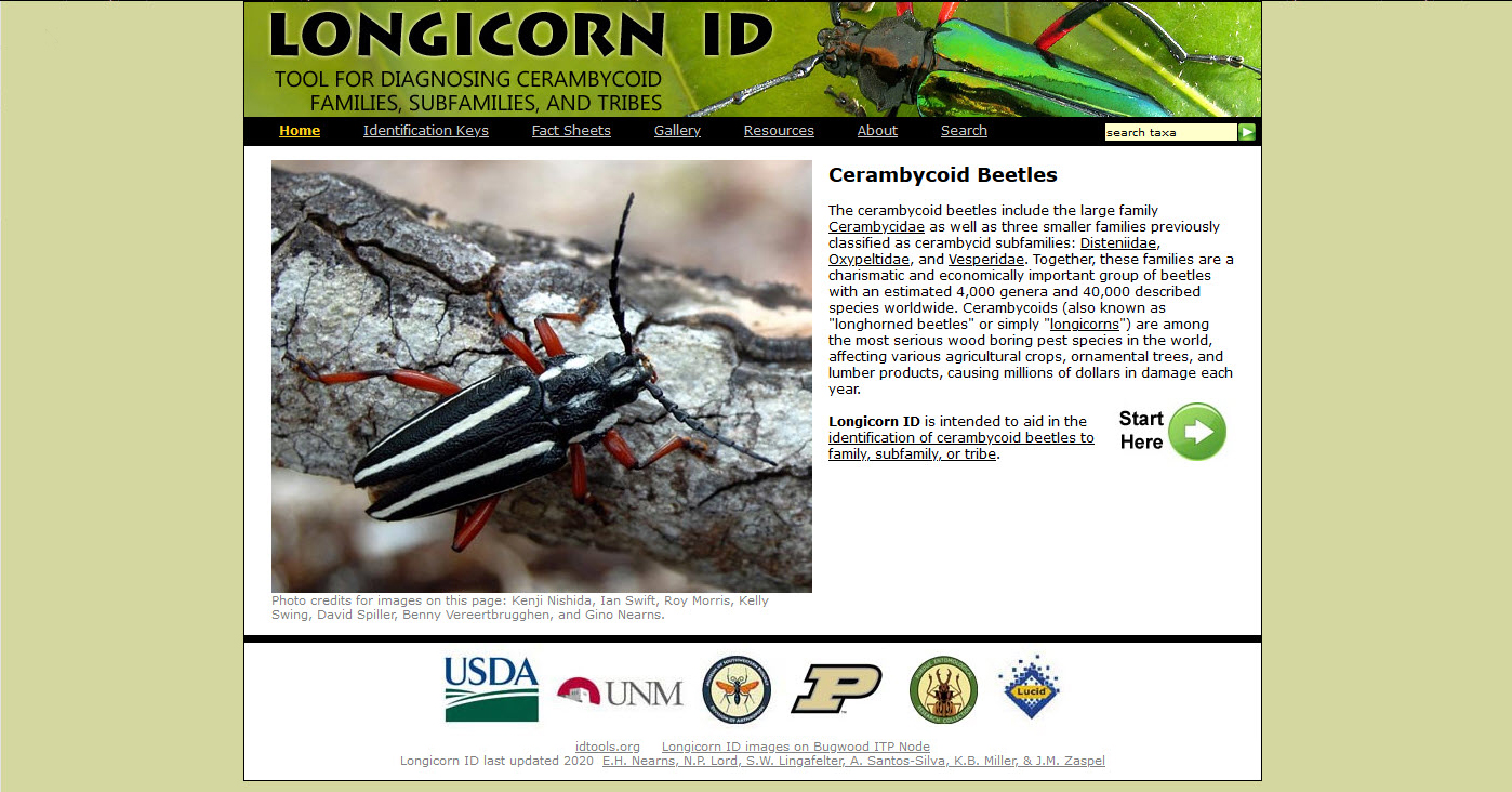 Longicorn ID home page