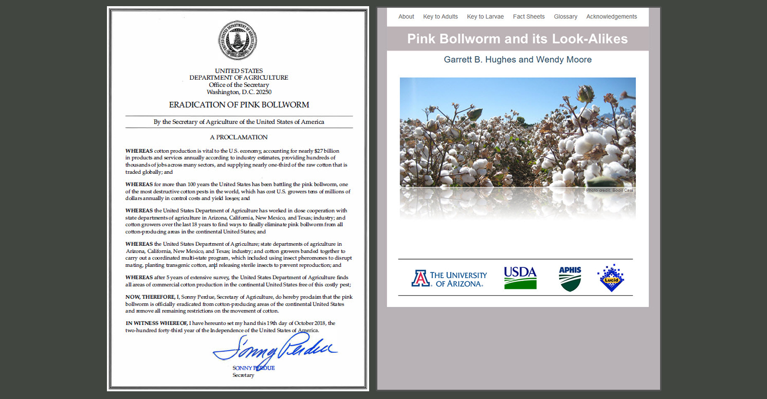 Secretary's proclamation (left) and home page of ITP's Pink bollworm tool (right)