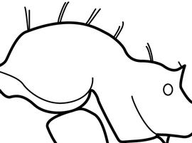 Lateral view of thorax / mesosoma, adult worker. The hairs on the mesosoma are stout and stiff, arranged in pairs. Used in Antkey to separate  Pheidole anastasii, Pheidole bilimeki  and  Pheidole punctatissima  from  Pheidole flavens  and  Pheidole moerens .