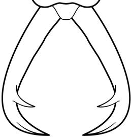 Anterior dorsal view of mandibles, adult worker. The mandibles are evenly curved, lacking abrupt attenuation near insertion of preapical tooth. Used in Antkey to separate  Strumigenys godeffroyi  and  Strumigenys lewisi  from  Strumigenys lanuginosa .