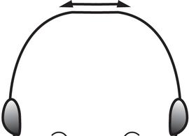 Anterior view of head, adult worker. The posterior margin of the head weakly convex. Used in Antkey to separate the minor worker of  Pheidole fervens  from  Pheidole obscurithorax  (strongly convex) and  Pheidole teneriffana  (flat).