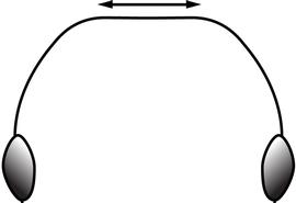 Anterior view of head, adult worker. The posterior margin of the head flat. Used in Antkey to separate the minor worker of  Pheidole teneriffana  from  Pheidole obscurithorax  (strongly convex) and  Pheidole fervens  (weakly convex).