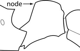 Lateral view of petiole, adult worker. Petiolar node is relatively thick in profile. Used in Antkey to separate  Tetramorium simillimum  from  T. caldarium . However, the usefulness of this character needs to be confirmed.