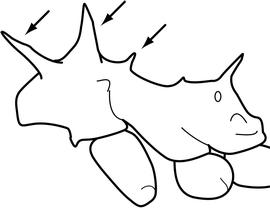 Lateral view of thorax / mesosoma, adult worker. Promesonotum is armed with at least three pairs of spines and teeth. Usually the anterior pairs are large and robust, while the posterior pair is smaller. Separates  Acromyrmex  from  Atta .