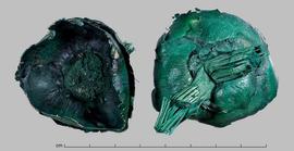  small bracts, dyed green, inner surface (left) and outer surface (right); photo by Christina Southwick 
