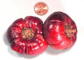  red fruits; photo copy; The Lebermuth Company, Inc. 
