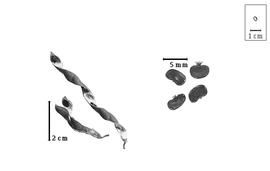  Fruit and seed:  B. pinnata  (C.H. Persoon) H.E. Baillon - fruits and seeds.
