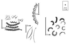  Fruit and seed:  H. comosa  C. Linnaeus - top, center fruit;  H. emerus  (C. Linnaeus) P. Lassen - bottom fruits and fruit segments;  H.  spp. - left fruits and fruit segments and right seeds.
