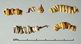  pods 