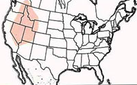  Geographic range of  Melanoplus rugglesi  Gurney 