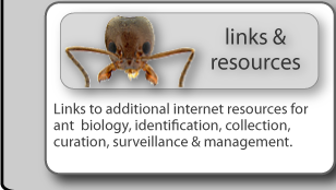 Links to additional internet resources for ant  biology, identification, collection, curation, surveillance & management.