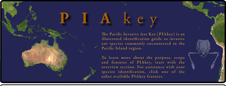 PIAKey. The Pacific Invasive Ant Key (PIAkey) is an illustrated identification guide to invasive ant species commonly encountered in the Pacific Island region.

To learn more about the purpose, scope and features of PIAkey, start with the overview section. For assistance with your species identification, click one of the other available PIAkey features.