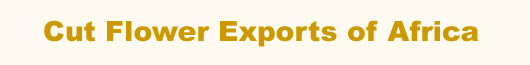 Cut Flower Exports of Africa