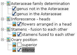 state choices that retain only Asteraceae