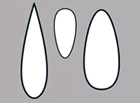 teardrop shape outline