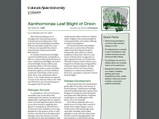 Xanthomonas Leaf Blight of Onion