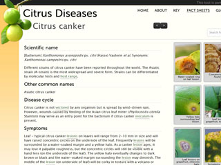 Citrus Diseases - Citrus Canker Fact Sheet