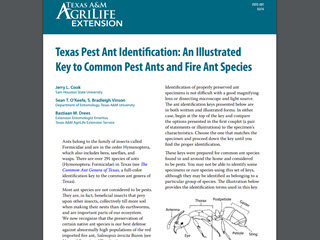 Texas Pest Ant Identification: An Illustrated Key to Common Pest Ants and Fire Ants