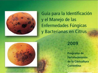 Guía para la Identificación y el Manejo de las Enfermedades Fúngicas y Bacterianas en Citrus (Guide to the Identification and Management of Fungal and Bacterial Diseases in Citrus)