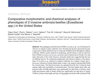 Comparative Morphometric and Chemical Analyses of Phenotypes of 2 Invasive Ambrosia Beetles (Euwallacea spp.) in the United States