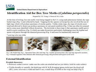 Identification Aid for Box Tree Moths (<em>Cydalima perspectalis</em>)
