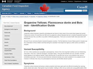 Grapevine Yellows: Flavescence dorée and Bois noir - Identification Guide