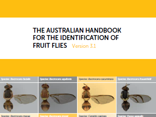 The Australian Handbook 
                            					for the Identification of Fruit Flies - Version 3.1