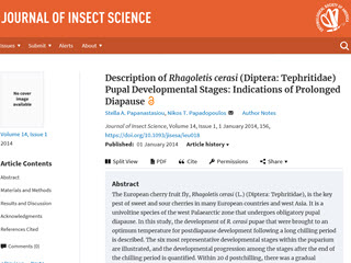 Description of Rhagoletis cerasi 
                            					(Diptera: Tehpritidae) Pupal Developmental Stages: Indications of Prolonged Diapause