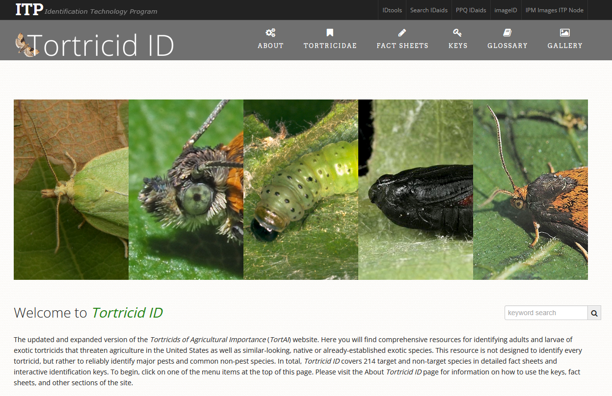 Updated and expanded version of the Tortricids of Agricultural Importance