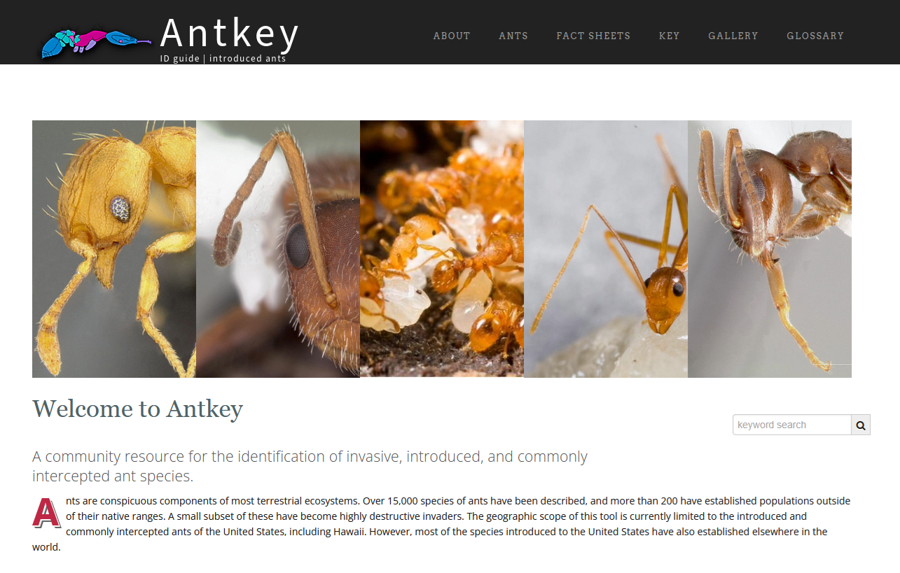 Antkey home page Antkey home page