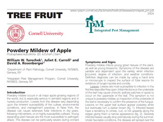 Tree Fruit - Powdery Mildew of Apples