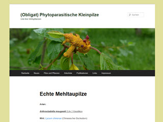 (Obligat) Phytoparasitische Kleinpilze: Echte Mehltaupilze (Erysiphales) ([Obligate] Phytoparasitic Small Fungi: Powdery Mildew)
