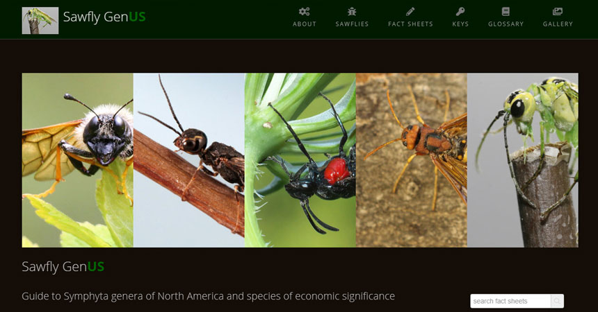 A new tool website from ITP: Sawfly GenUS