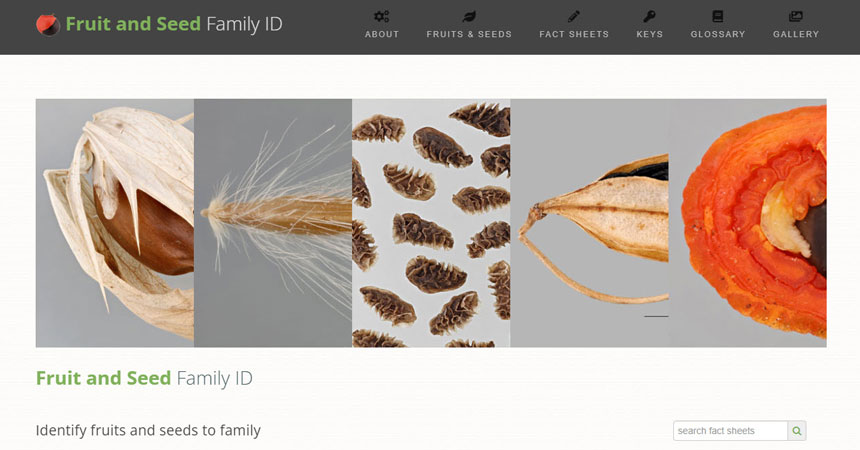 New release: Fruit and Seed Family ID