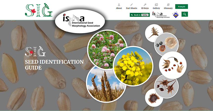 Home page of Seed Identification Guide (SIG) shown with ISMA logo