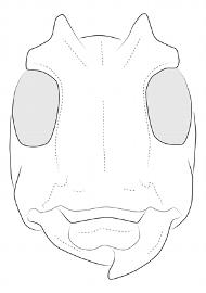  Venustus zeteki , male; © E.H. Nearns