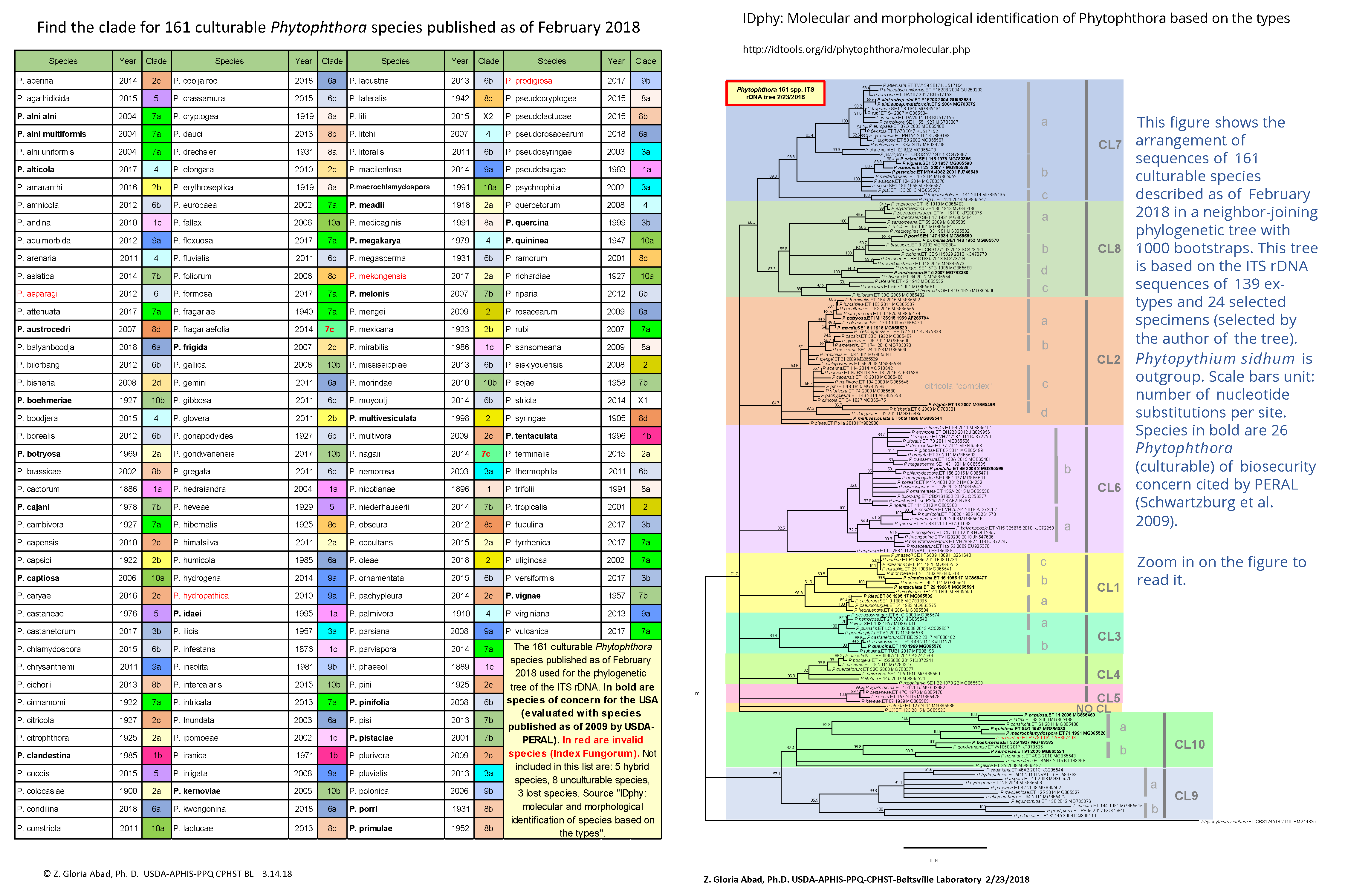 https://idtools.org/phytophthora/images/page/blast%20step%203.png