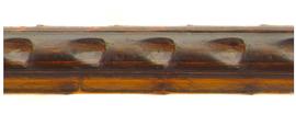   Sirex mexicanus  ovipositor pits; photo by H. Goulet, CNC 

