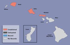  distribution map for  Canthon indigaceus  