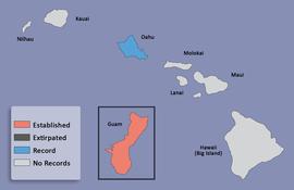  distribution map for  Popillia lewisi   