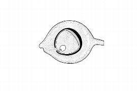  Embryo:  Hortonia floribunda ; Illustration by K. Parker, Kirkbride et al. (2006)
