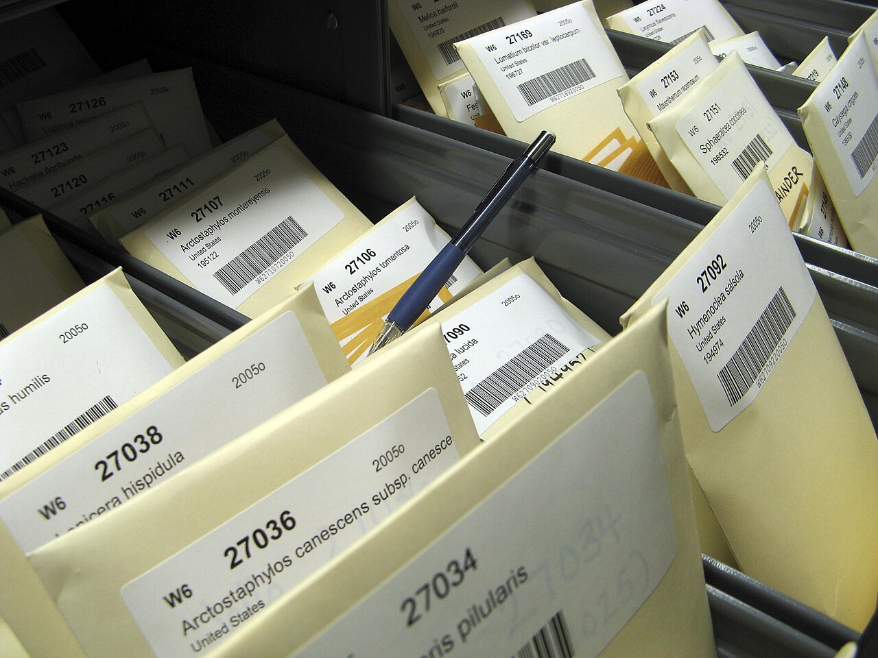 Storing Native Seeds; photo by R. C. Johnson on wikimedia.org