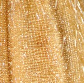  Oryza rufipogon.  Texture is laterally striate. Photo by Julia Scher, USDA-APHIS-PPQ.