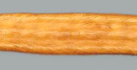 Prosopis pallida.  Pod surface. Photo by Julia Scher, USDA-APHIS-PPQ.