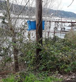  Using a nuc box baited with a single aged drawn comb as swarm bait box; photo by Dewey M. Caron
