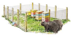  Bear fence; illustration by Elaine Sears, The Encyclopedia of Animal Predators
