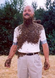  Human bee beard (created by suspending queen or queen essence below chin); photo by Dewey M. Caron
