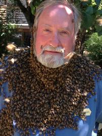  Human bee beard; photo by Dewey M. Caron
