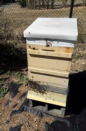  Hive entrance protected with robbing screen; photo by Dewey M. Caron
